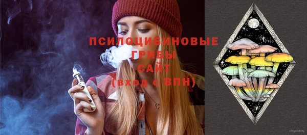 не бодяженный Верхний Тагил